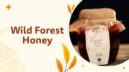 Wild Forest Honey on Ayush TV
