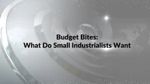 Budget Bites: What Do Small Industrialists Want on NDTV 24x7