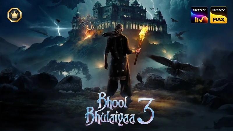 Bhool Bhulaiyaa 3 on Sony Max HD