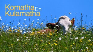 Komatha En Kulamatha on Sun Life - future program