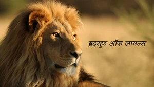 Brotherhood of Lions on Animal Planet HD Hindi - past program
