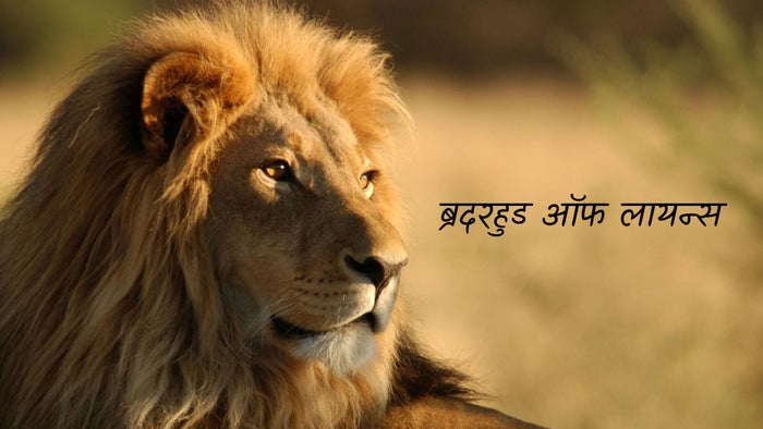 Brotherhood of Lions Episode No.1 on JioTV