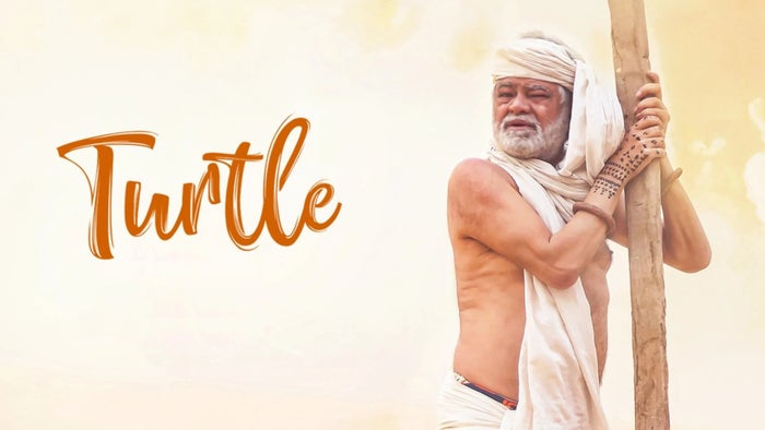 Turtle on JioTV
