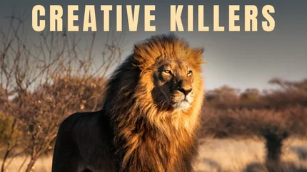 Creative Killers on Animal Planet English