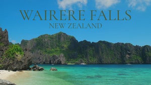 Wairere Falls: New Zealand on Stingray Naturescape - past program