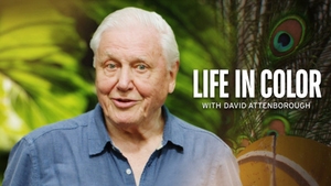 Life in Colour with David Attenborough on Animal Planet English - past program