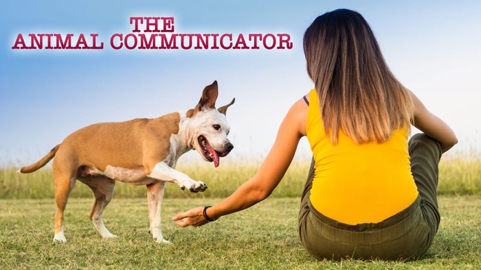 The Animal Communicator on JioTV