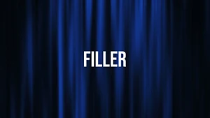 Filler on Colors Cineplex - past program