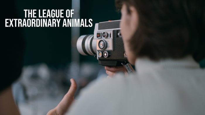 The League Of Extraordinary Animals Episode No.1 on JioTV