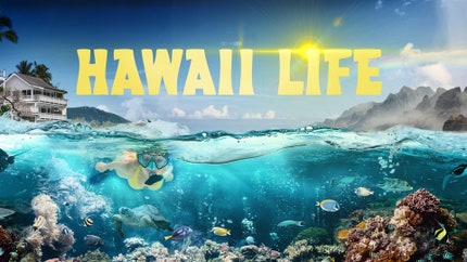 Hawaii Life on TLC Hindi