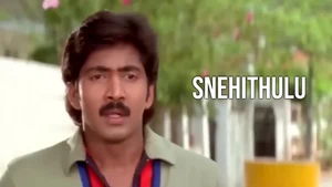 Snehithulu on ETV Cinema HD - past program