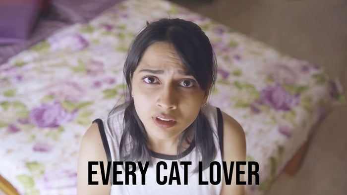 Every Cat Lover on JioTV