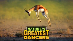 Nature's Greatest Dancers on Sony BBC Earth SD - past program