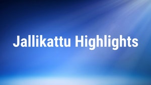 Jallikattu Highlights on Thanthi TV - past program