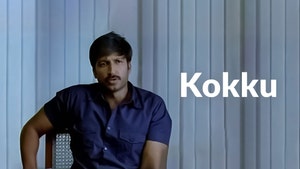 Kokku on Polimer TV - past program