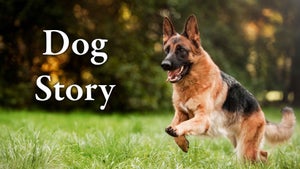 Dog Story on STV Bangla - past program