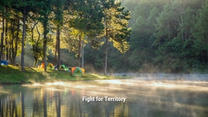 Fight for Territory on Animal Planet HD Hindi - past program
