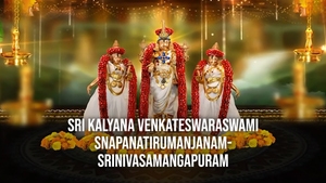 Sri Kalyana venkateswaraswami Snapanatirumanjanam-Srinivasamangapuram on SVBC - past program