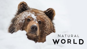 Natural World on Animal Planet HD Tamil - past program