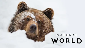 Natural World on Animal Planet Tamil - past program
