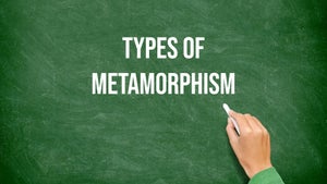 Types of Metamorphism on DD Gyandarshan - past program