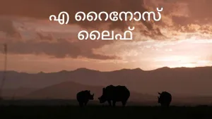 A Rhino's Life on Animal Planet HD English - past program