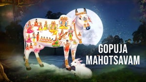 Gopuja Mahotsavam on SVBC3 - past program