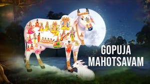 Gopuja Mahotsavam on SVBC3 - past program