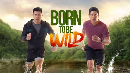 Born to Be Wild on History TV18 HD