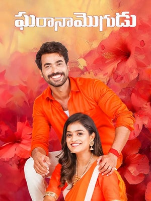 Gharana Mogudu Episode 12 on Zee Telugu - future program