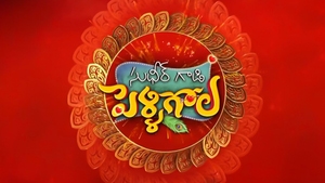 Sudheer Gaadi Pelli Gola on ETV Plus HD - past program