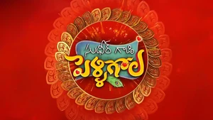 Sudheer Gaadi Pelli Gola on ETV Plus HD - past program