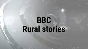 BBC Rural stories on BBC News Gujarati - past program
