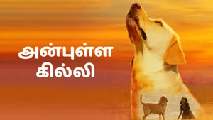 Anbulla Ghilli on Colors Tamil HD - past program