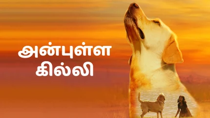 Anbulla Ghilli on Colors Tamil