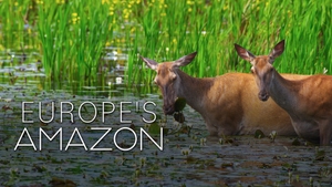 Europe's Amazon on Animal Planet HD English - past program