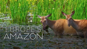 Europe's Amazon on Animal Planet HD English - past program