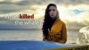 What Killed the Whale? on Sony BBC Earth SD - past program