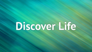 Discover Life on Anjan TV - past program