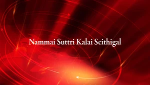 Nammai Suttri Kalai Seithigal on Puthiya Thalimurai - past program