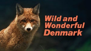 Wild and Wonderful Denmark Episode 1 on Animal Planet HD English - future program