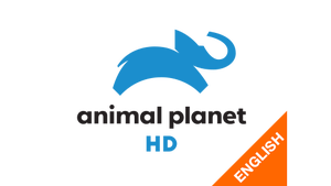 The Magical World Of Amphibians on Animal Planet HD English - past program