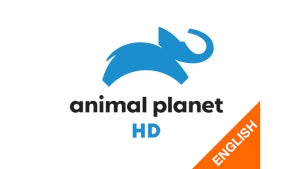 The Magical World Of Amphibians on Animal Planet HD English - past program