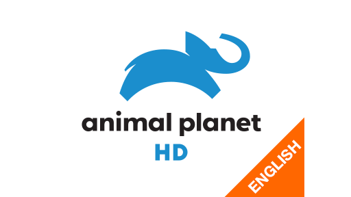 The Magical World Of Amphibians Episode No.2 on JioTV