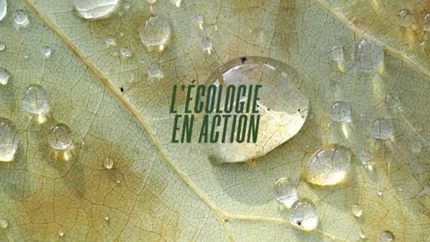 L'écologie en action on TV5 Monde