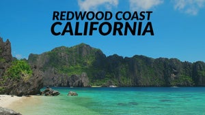 Redwood Coast: California on Stingray Naturescape - past program
