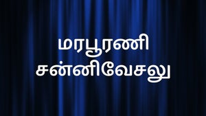 Marapurani Sannivesalu on Sun Gemini Life - future program