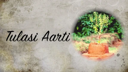Tulasi Aarti on Hare krsna