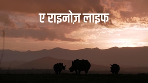 A Rhino's Life on Animal Planet HD Hindi - past program