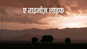 A Rhino's Life on Animal Planet HD Hindi - past program